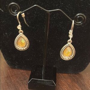 Chic Teardrop Earrings with Gold Accents